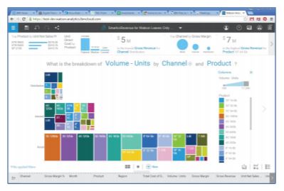 Planning Analytics1