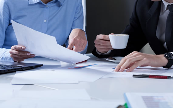 Project Management Assistance